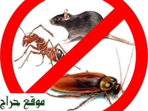 هوم كلين: مكافحة حشرات بجدة ومكة | تخلص نهائياً من الصراصير، البق، النمل، الفئران 2