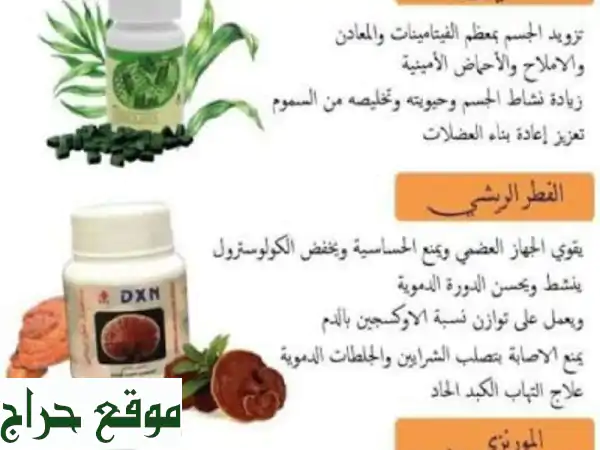 مكملات DXN لمرضى السكر | دعم صحتك وتوازن سكرك طبيعياً 2