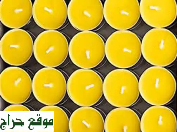 أجواء نقية بلا حشرات: شمع طارد للبعوض والذباب للمطاعم، المقاهي والمنازل | حماية فعالة داخلاً وخارجاً