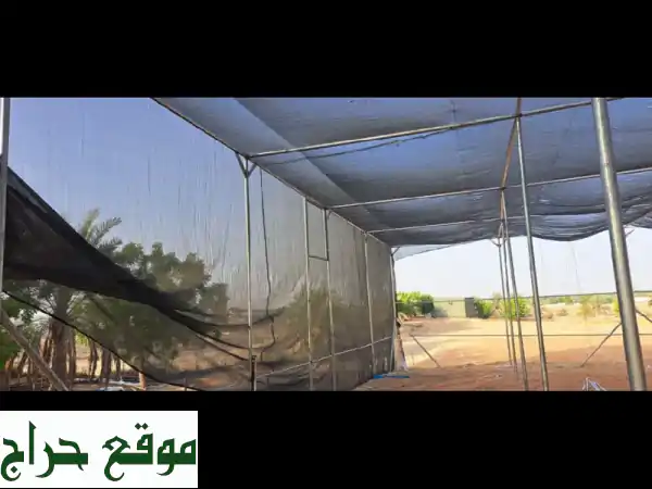 حلولك الزراعية المتكاملة: تأسيس وصيانة البيوت المحمية (Green & Net House) 3