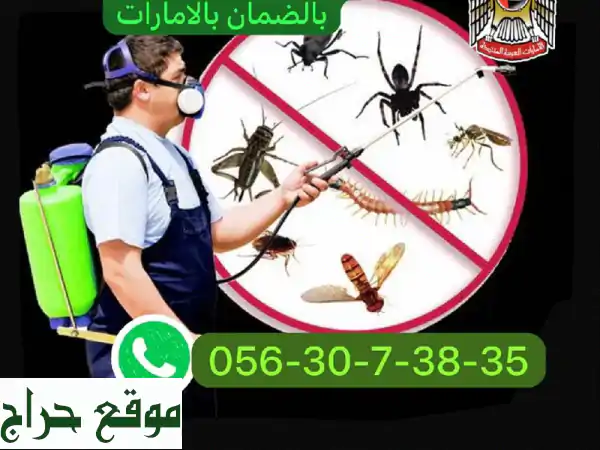 مكافحة حشرات بـ 99 درهم بالإمارات! | ضمان حقيقي ونتائج فعالة | تاج الياسمين
