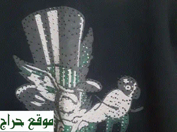 ⚡️ بلوزة ED HARDY قطن للجنسين (S-M) | جديد كالزيرو بحالة ممتازة - فرصة لا تعوض! 2