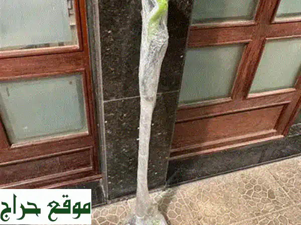 مكنسة SOKANY لاسلكية 2000W - قوة شفط جبارة بلا قيود بضمان سنة | جديد مختوم 3