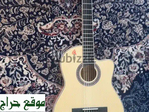 جيتار 6 أوتار بحالة ممتازة: جاهز للعزف فورًا - نظيف وملمع!