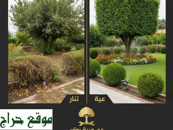 معلم قص وتنسيق حدائق | قص أشجار وتقليم نخيل بخبرة وأمانة