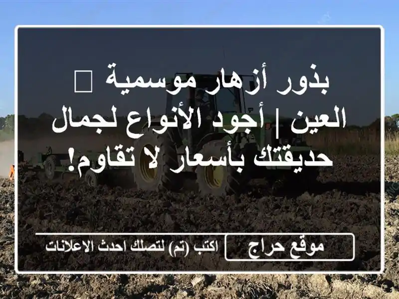 بذور أزهار موسمية 🌸 العين | أجود الأنواع لجمال حديقتك بأسعار لا تقاوم!