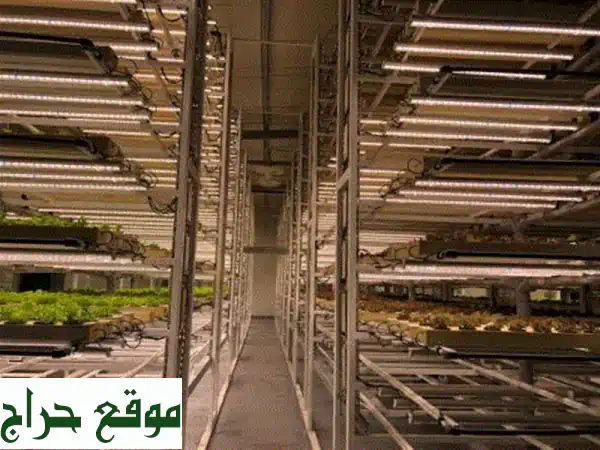 مدرب وخبير الزراعة المائية والداخلية (CEA): أطلق العنان لمشروعك الزراعي المستقبلي!
