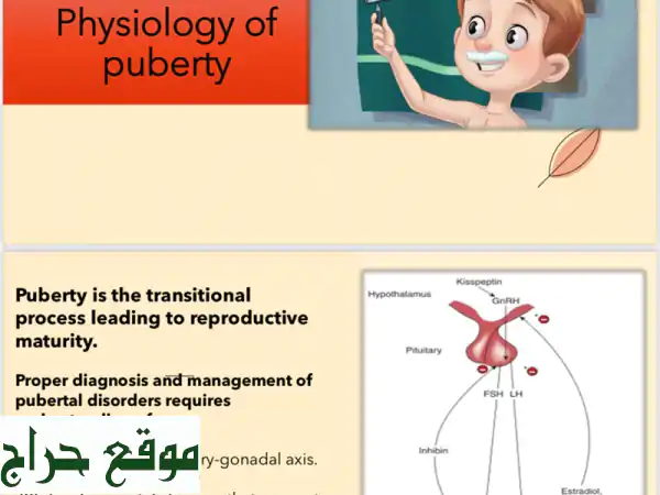 تألق بعروضك الطبية: باوربوينت احترافي لجميع مستويات طلاب الطب 2