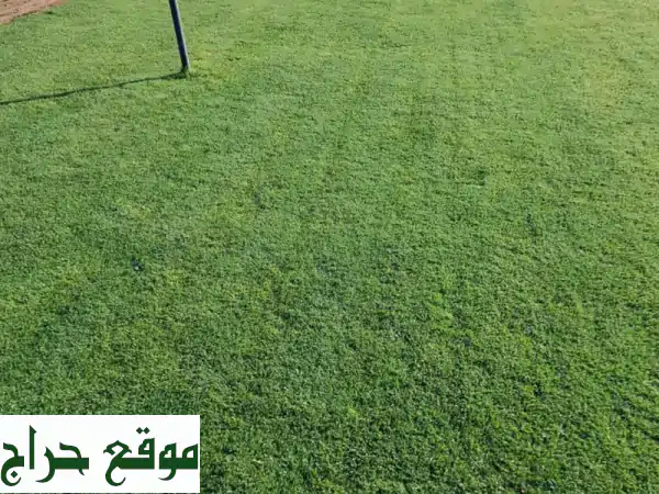 أفضل مقاول لاند سكيب وتنسيق حدائق | فرش نجيلة وخدمات زراعية بأفضل الأسعار 3