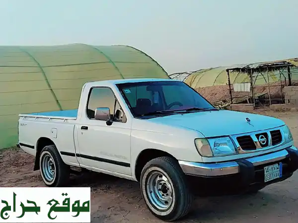 خبراء النخيل: خدمات متكاملة لنظافة، تلقيح، رش، تركيب وتشويك النخل