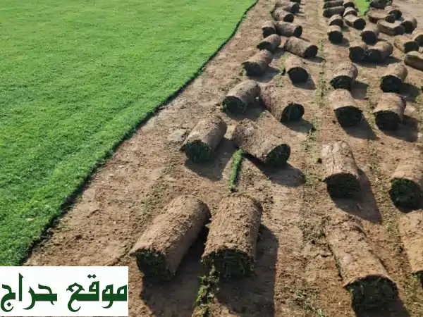 أفضل مقاول لاند سكيب وتنسيق حدائق | فرش نجيلة وخدمات زراعية بأفضل الأسعار 2