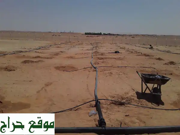حلول ري ذكية: برسيم، نجيل ملاعب | رشاشات تنقيط لنمو استثنائي