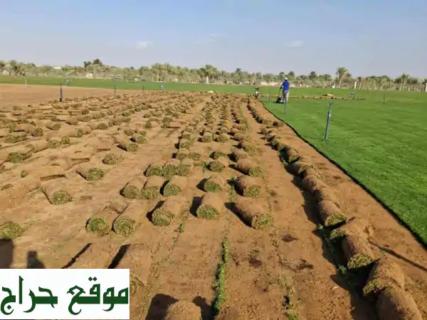 أفضل مقاول لاند سكيب وتنسيق حدائق | فرش نجيلة وخدمات زراعية بأفضل الأسعار