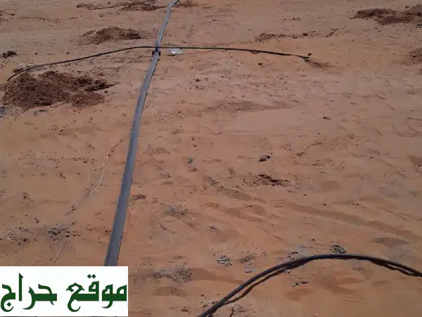 حلول ري ذكية: برسيم، نجيل ملاعب | رشاشات تنقيط لنمو استثنائي 2
