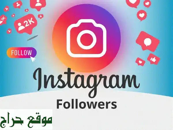 Instagram&Tiktok Followers