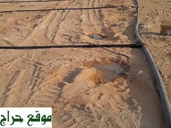 حلول ري ذكية: برسيم، نجيل ملاعب | رشاشات تنقيط لنمو استثنائي 3