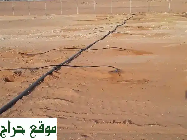 حلول ري ذكية: برسيم، نجيل ملاعب | رشاشات تنقيط لنمو استثنائي 4