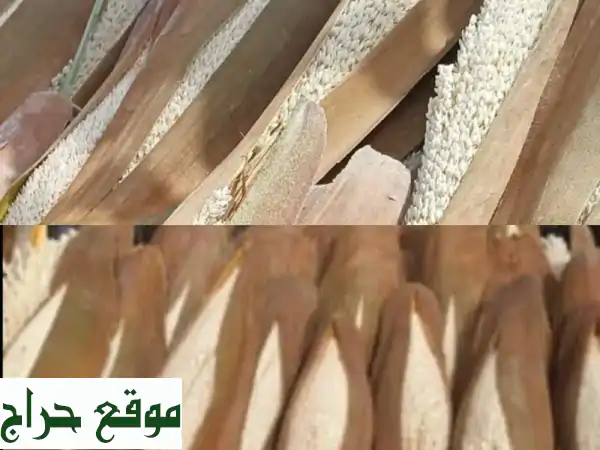 أفضل لقاح نخيل طازج: الدرجة الأولى لإنتاج تمور وفيرة وجودة استثنائية! 3