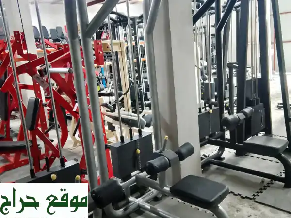 فرصتك الذهبية: جهاز سحب العضلة الخلفية تكنوجيم مستعمل بحالة ممتازة | Technogym Rear Deltoid Fly 3