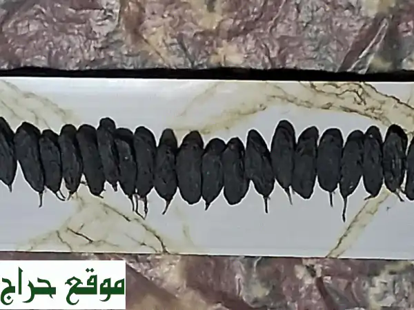 زبيب أسود أوزبكي فاخر: جودة استثنائية وسعر لا يقاوم 50 درهم للكيلو! (الإمارات)