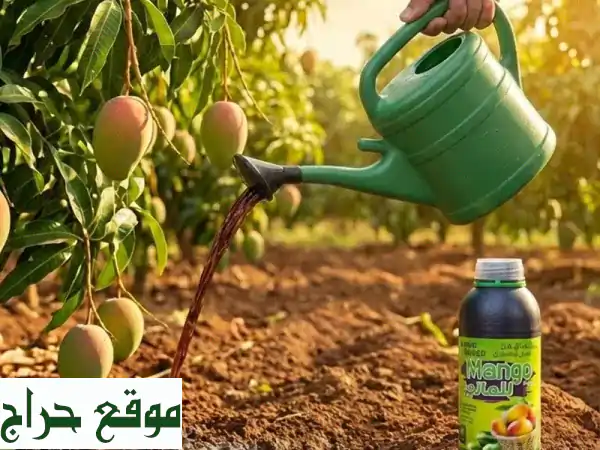 سماد Mango Feed العضوي: سر المانجو الوفير! تغذية مثالية لأشجارك في الإمارات. 3