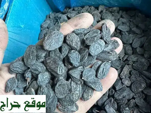 زبيب أسود أوزبكي فاخر: جودة استثنائية وسعر لا يقاوم 50 درهم للكيلو! (الإمارات) 3