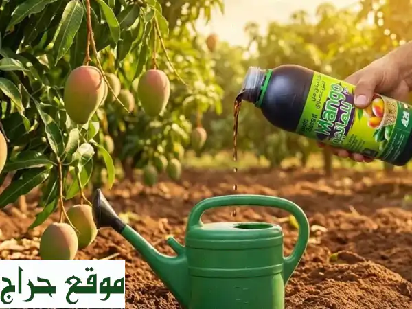 سماد Mango Feed العضوي: سر المانجو الوفير! تغذية مثالية لأشجارك في الإمارات. 4