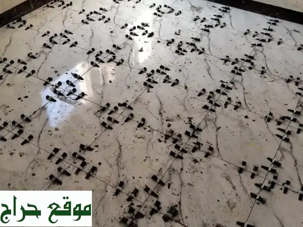 عروض حصرية: فواصل وكلبسات البلاط الجديدة | أسعار جملة لا تُضاهى للتجار والمقاولين! 4