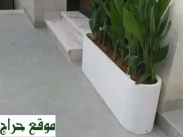 مشاتل الربيع: حوّل حديقتك! | ثيل طبيعي، أشجار ونخيل بجودة ممتازة وسرعة فائقة