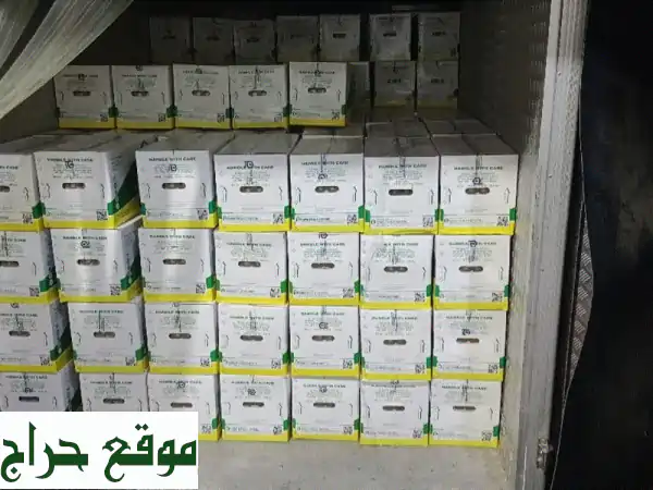 أطباق بيض هندي متوسطة بالجملة | أسعار تنافسية وجودة مضمونة!