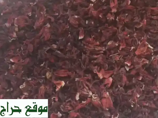 كركدي سوداني أصيل في الإمارات | إنتاج السنة | جودة عالية ولون مميز (5 طن متوفر)