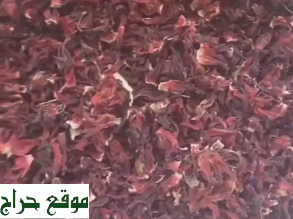 كركدي سوداني أصيل في الإمارات | إنتاج السنة | جودة عالية ولون مميز (5 طن متوفر) 2