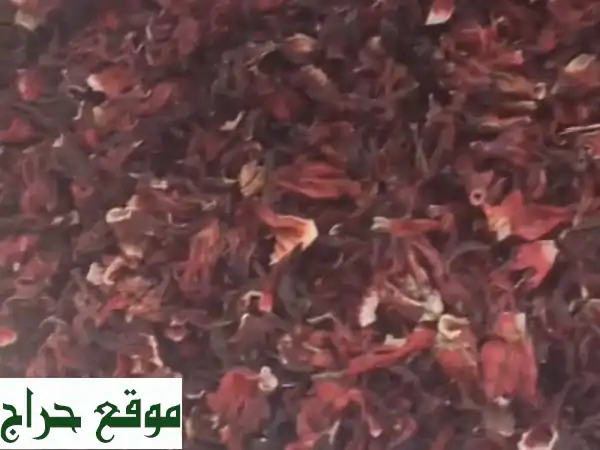 كركدي سوداني أصيل في الإمارات | إنتاج السنة | جودة عالية ولون مميز (5 طن متوفر) 3