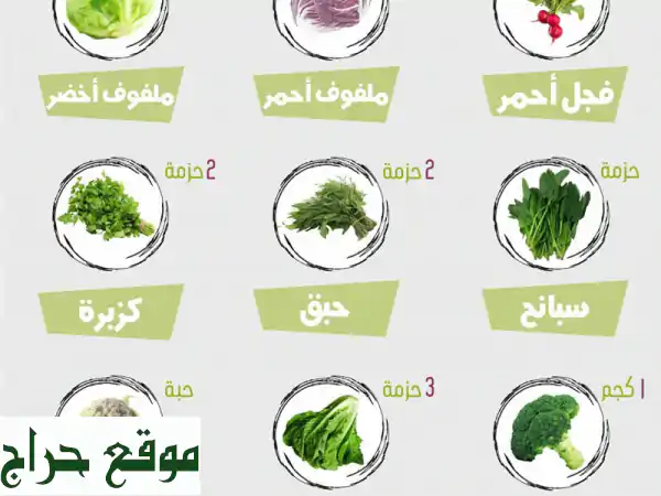 مزارع الصعيدي: ورقيات وخضروات طازجة بجودة لا تُضاهى | توصيل سريع بالرياض 2