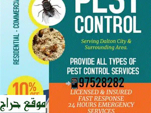 كلب أليف أبيض مُدَرَّب للبيع | رفيق عائلي لطيف ومُطَعَّم وجاهز للمنزل 4