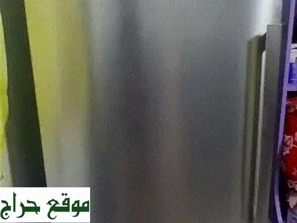 فريزر سامسونج فضي RZ28 H61507 سعة 306 لتر | نوفروست، A+ موفر للطاقة وتصميم أنيق 3
