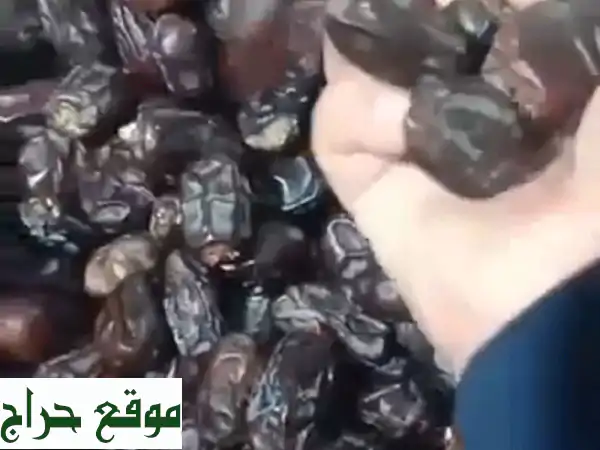 تمر خنيزي إيراني فاخر 10 كجم | اطلب أجود أنواع التمور الآن! 2