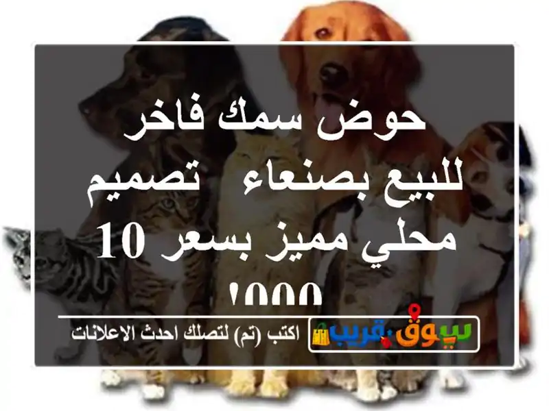 حوض سمك فاخر للبيع بصنعاء - تصميم محلي مميز بسعر 10,000!