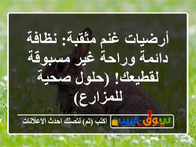 أرضيات غنم مثقبة: نظافة دائمة وراحة غير مسبوقة...