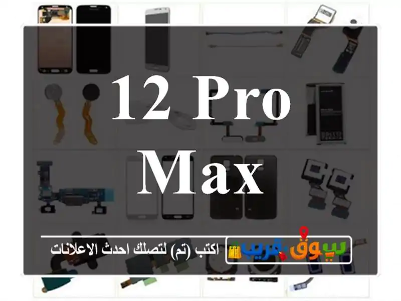 12 pro max