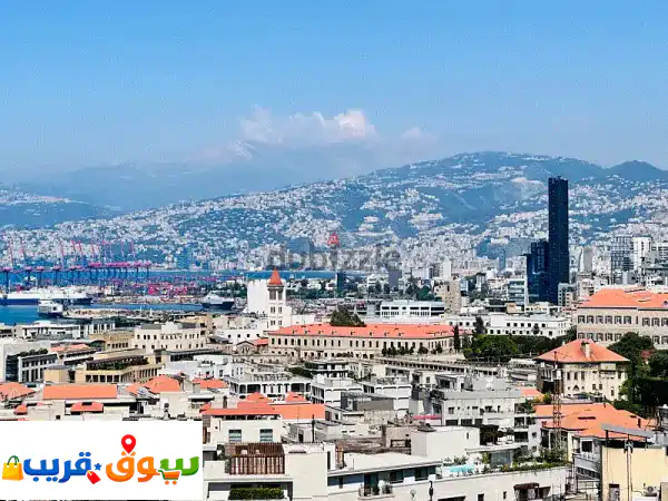 Luxuries Furnished Apartment In Clemenceau + Terrace