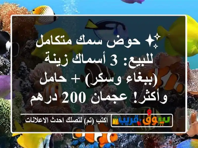 ✨ حوض سمك متكامل للبيع: 3 أسماك زينة (ببغاء وسكر) +...