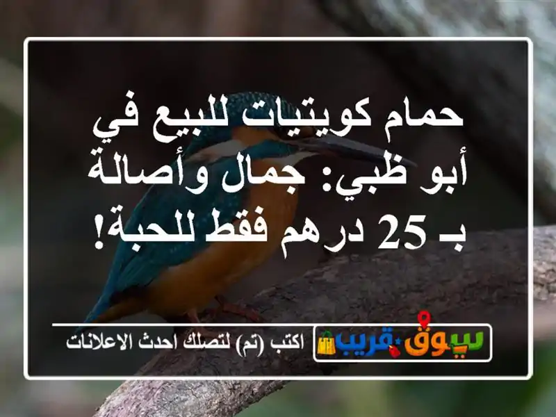 حمام كويتيات للبيع في أبو ظبي: جمال وأصالة بـ 25...