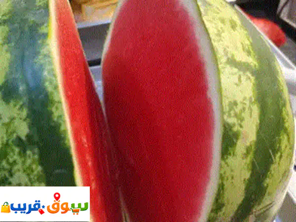 تتشرف مؤسسة هالة أحمد حكمي لتوريد الخضار والفواكه والتمور بخدمتكم، وتوفير أجود المنتجات الطازجة ... 2