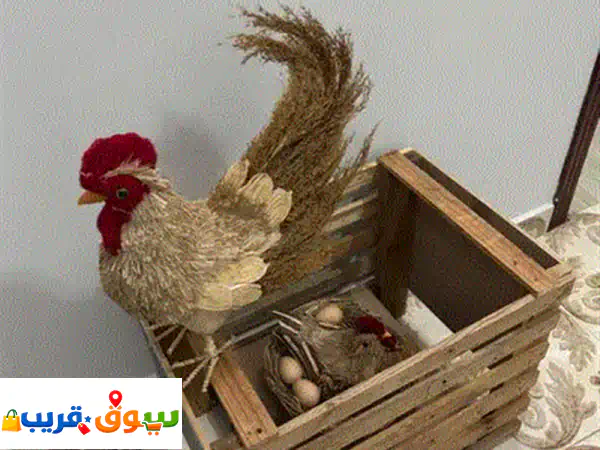 ببغاء الدرة (البادجي) للبيع: صحة ممتازة، حلقات تعريفية، يجلب السعادة! 3