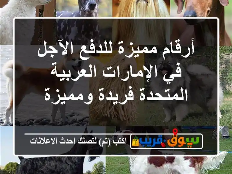 أرقام مميزة للدفع الآجل في الإمارات العربية المتحدة  فريدة ومميزة
