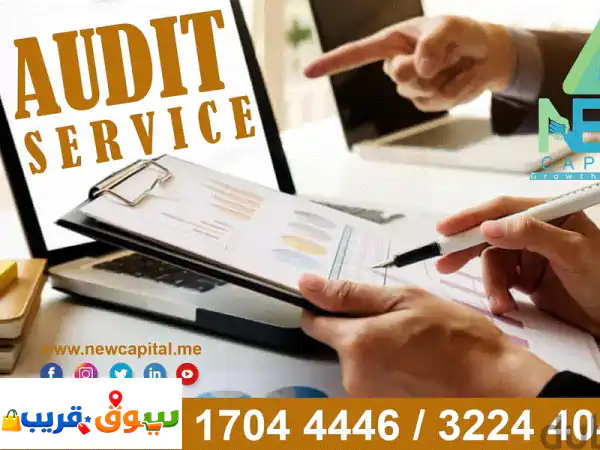 Blance _Finance Audit _Liabilities