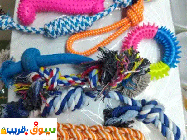 يتوفر لدينا ألعاب الحيوانات الأليفة ومستلزماتهم أيضا وسعر أل 11 لعبة بسعر 60 درهم 2