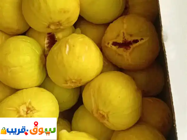 تين جاسم ممتاز طعم حكاية طازج قص يوميا للبيع تواصل أراضيصناعية للبيع