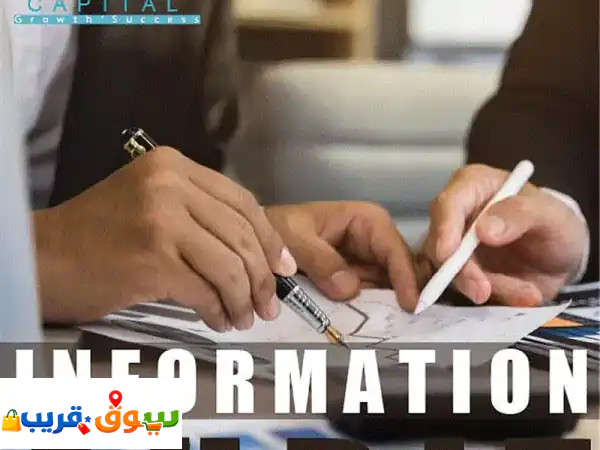 Audit Finance Info